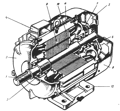 устройство трехфазного асинхронного двигателя с короткозамкнутым ротором