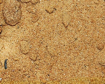 песок.jpg